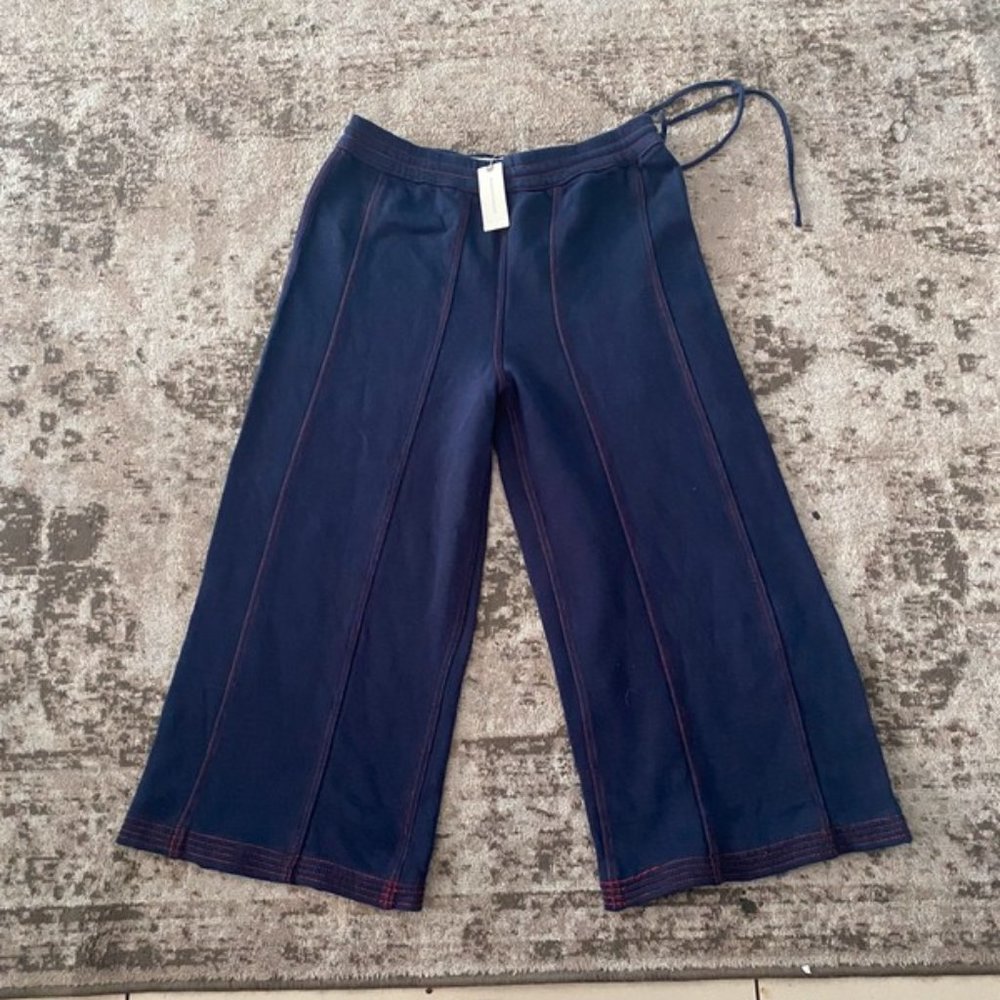 Anthropologie pant New